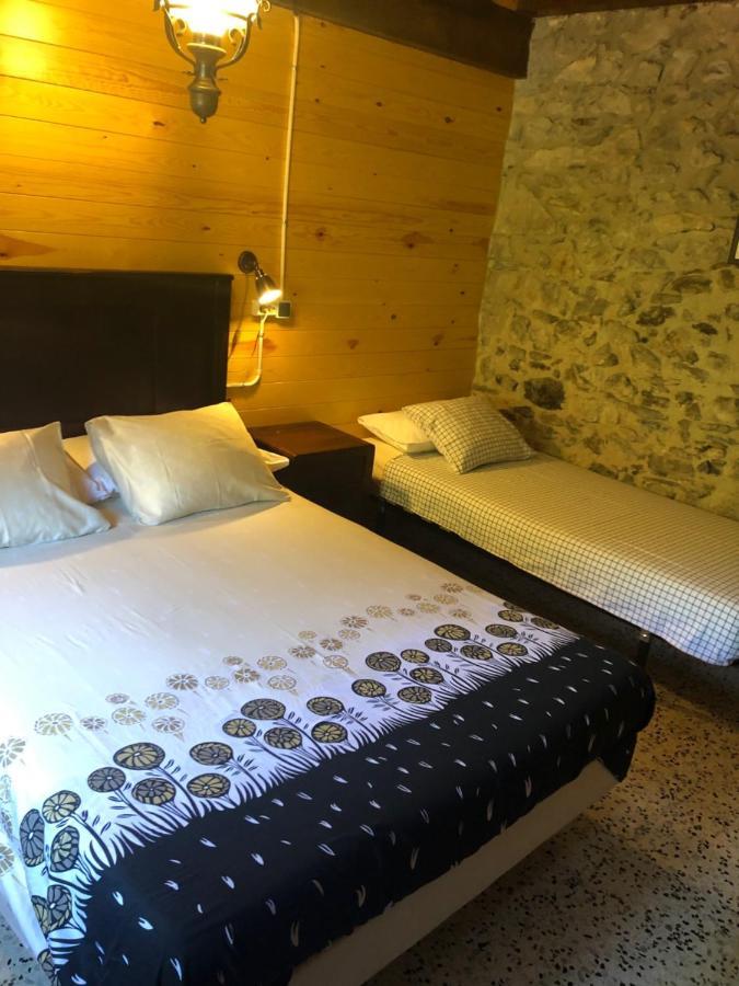 Mas Molladar Solo Adultos Guest House Camprodon Exterior photo